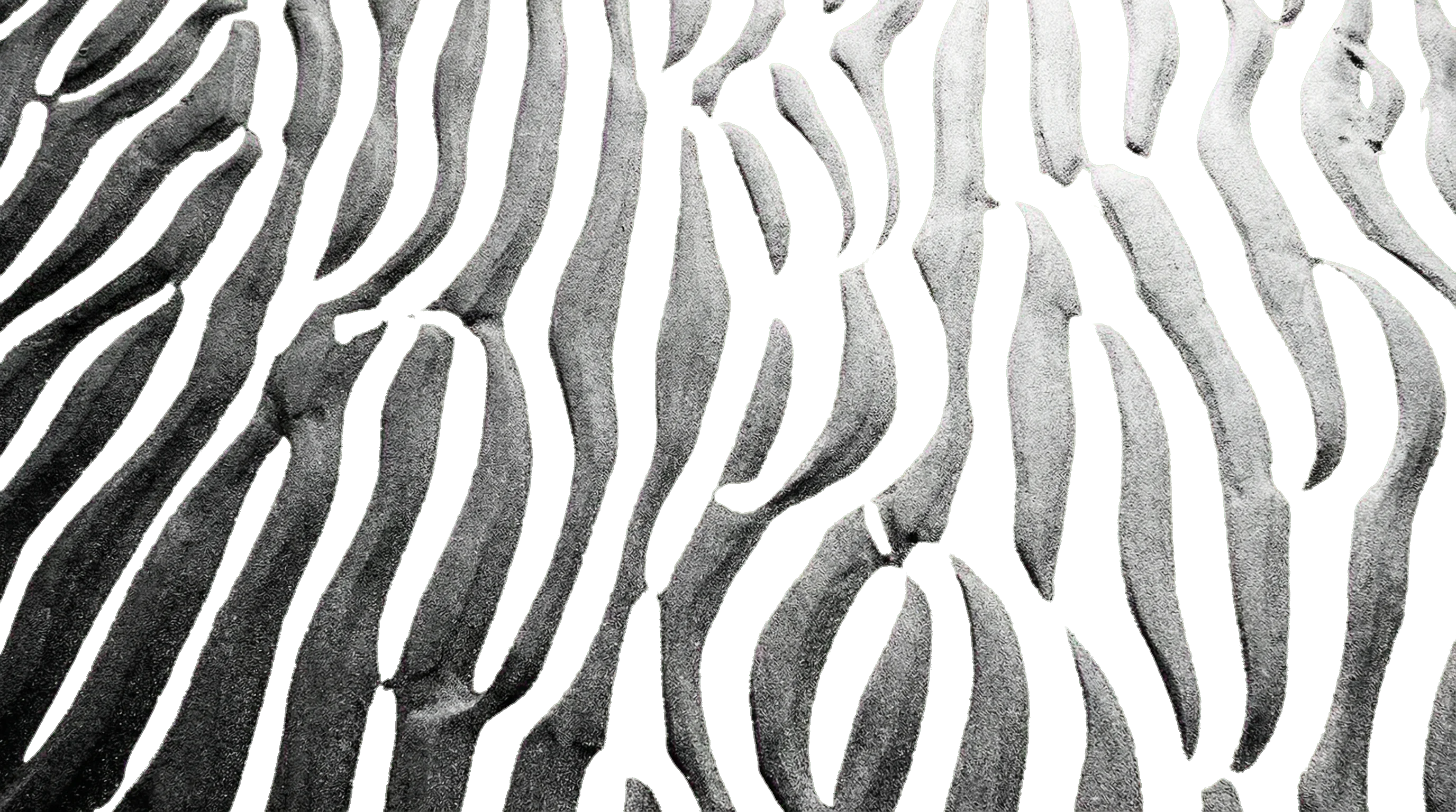 Visão estratégica para crescimento digital - Marketing e e-commerce BBSX